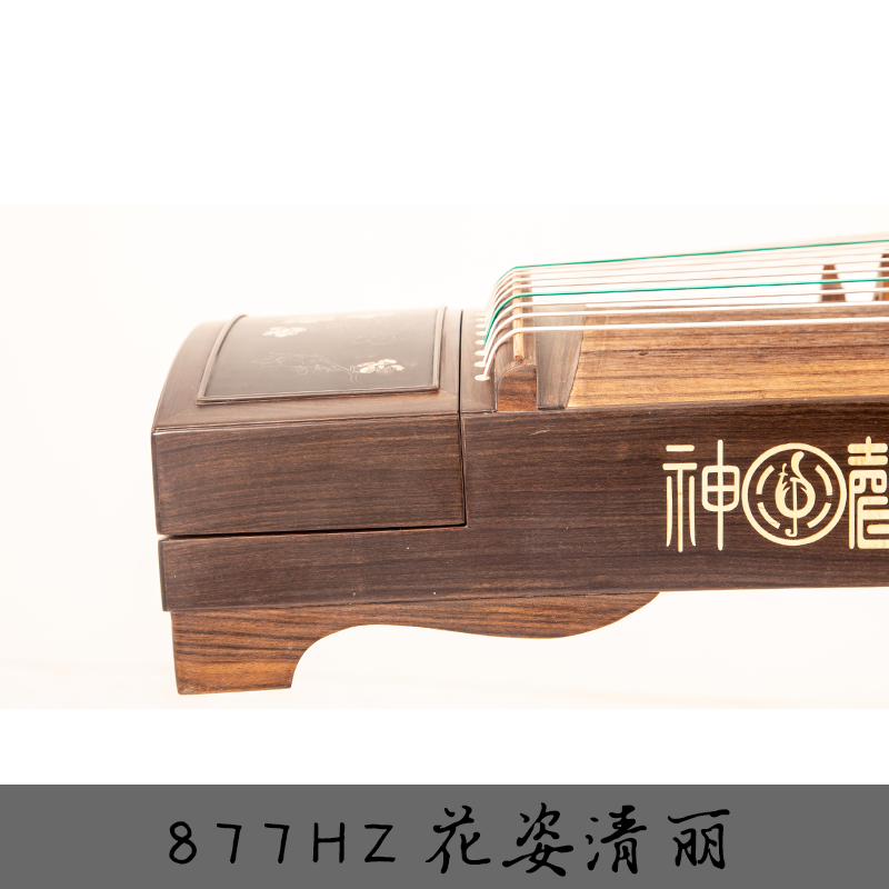 【神声古筝】877HZ 花姿清丽