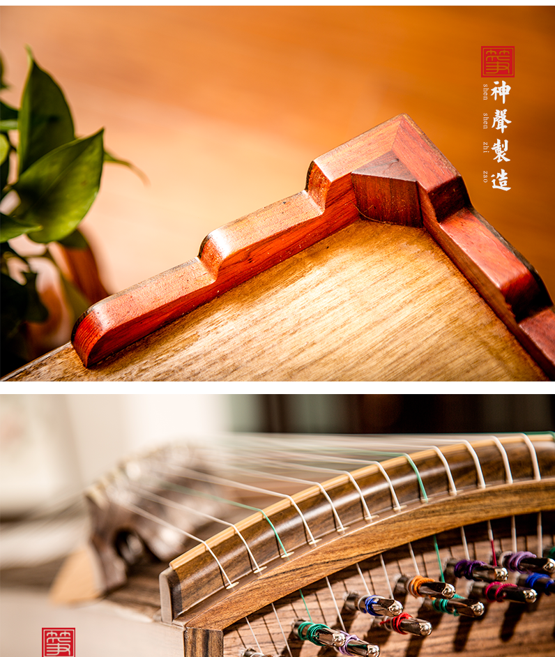 【神声古筝】877HX 花香蝶舞