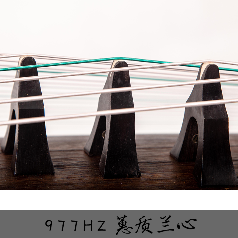 【神声古筝】977HZ 蕙质兰心