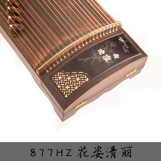 【神声古筝】877HZ 花姿清丽